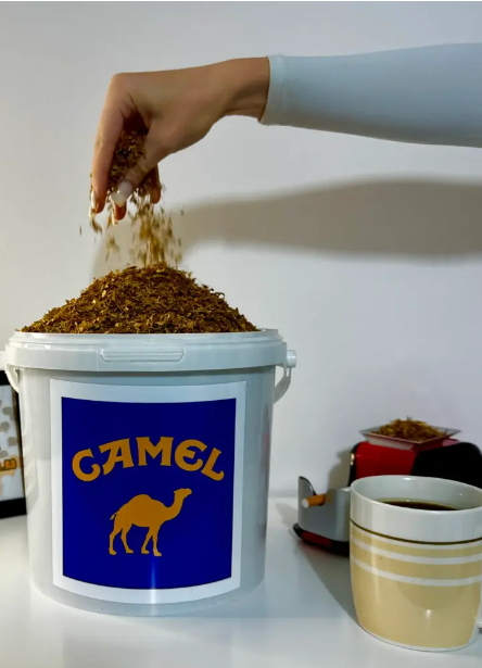 Tutun Camel la Galeata